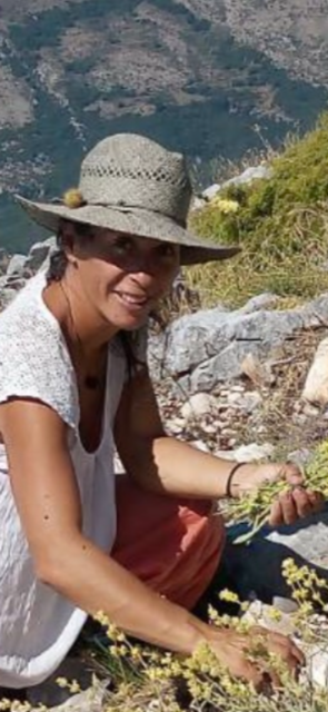 Sabine Fries | Reconnect & Start New - Athanasia