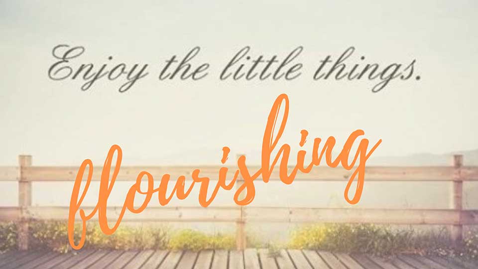 Sabine Fries | Telegram